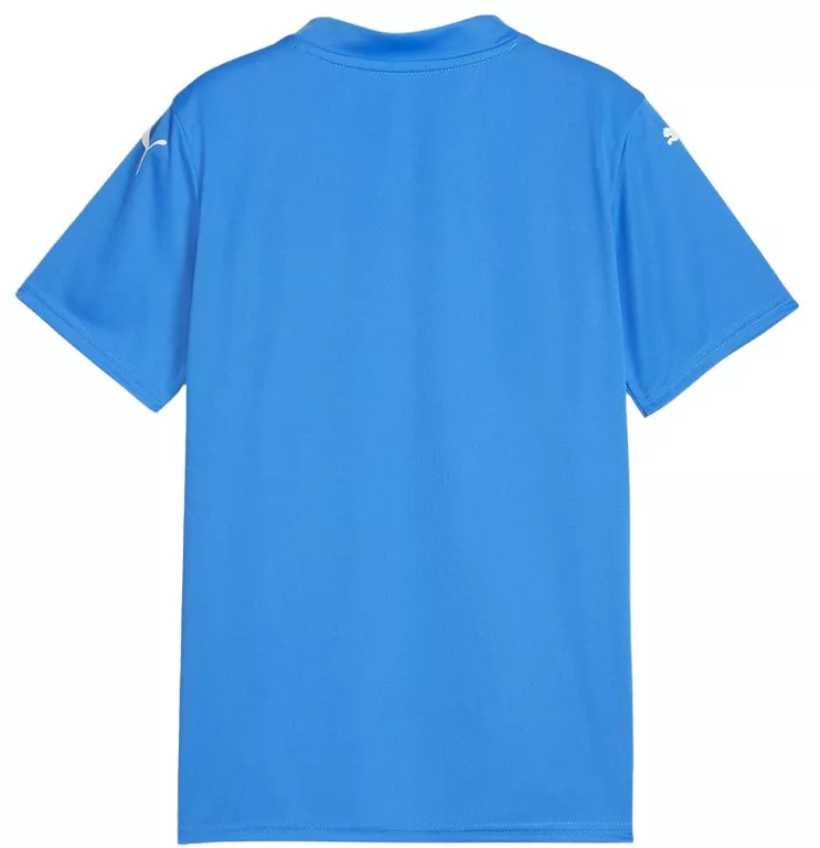 Puma teamGLORY Jersey Jr Póló
