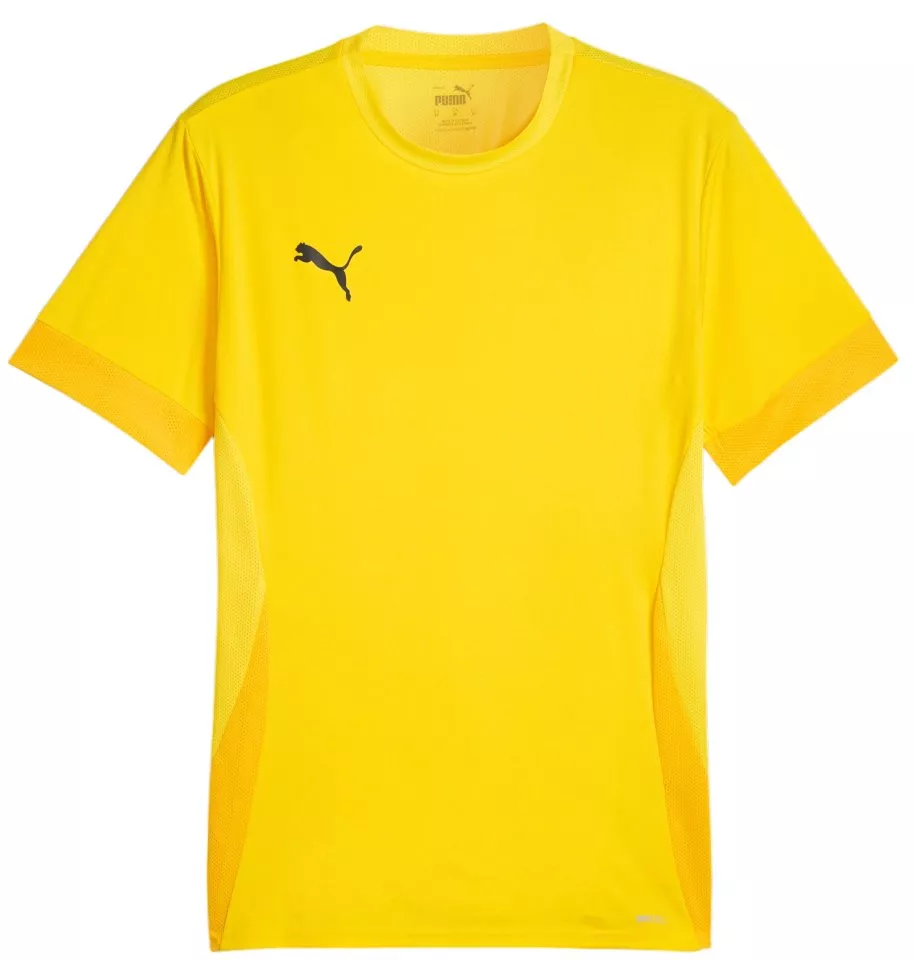 Pánský dres s krátkým rukávem Puma teamGOAL Matchday