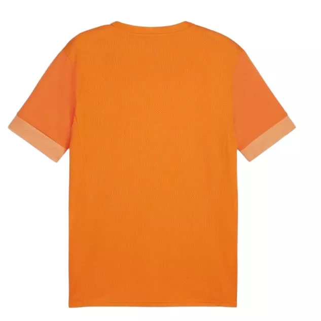 Dres Puma teamGOAL Matchday Jersey