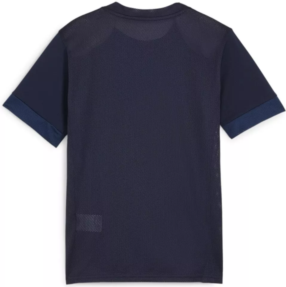 Puma teamGOAL Matchday Jersey jr Póló