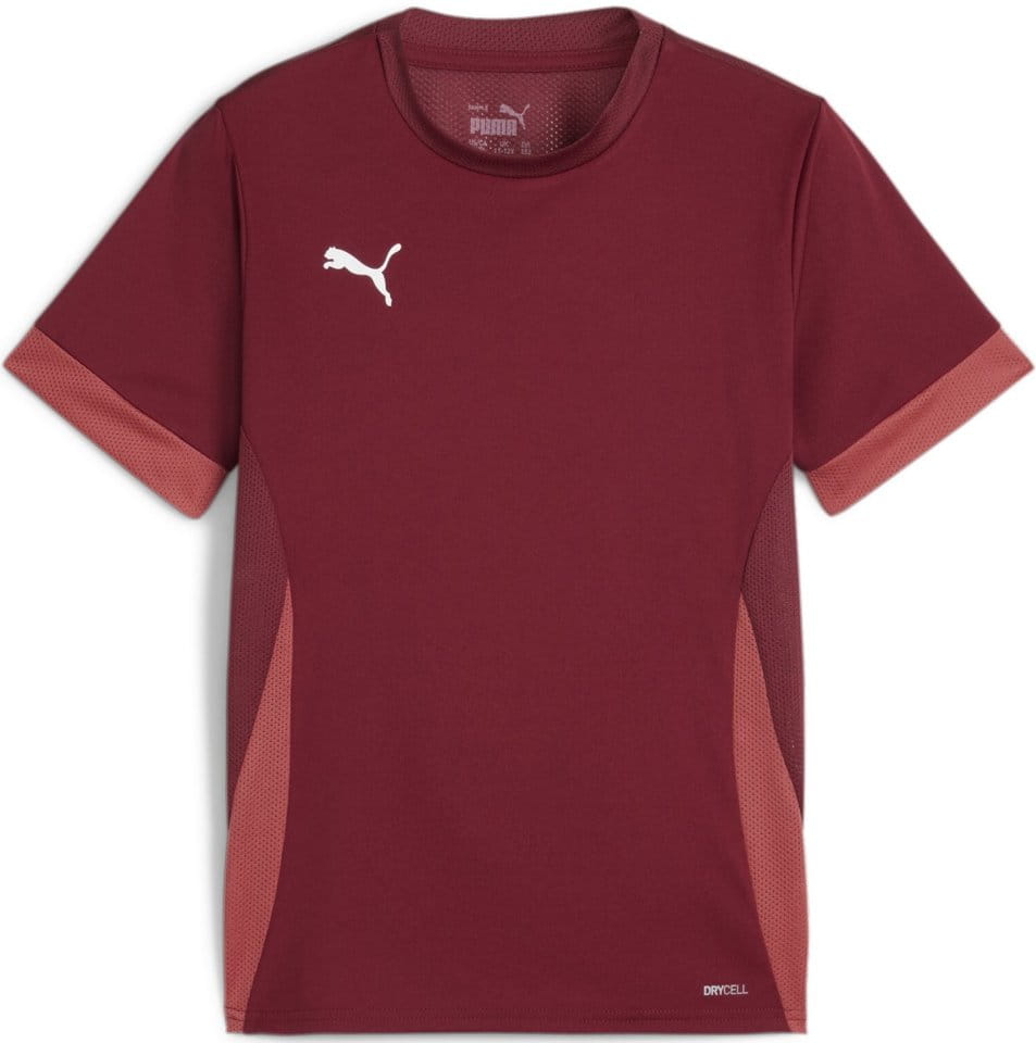 Camisa Puma teamGOAL Matchday Jersey jr