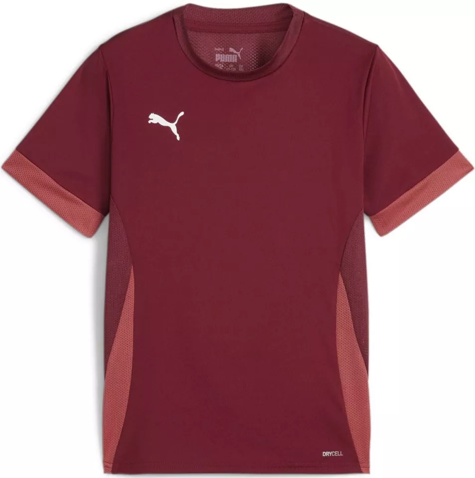 Camisa Puma teamGOAL Matchday Jersey jr