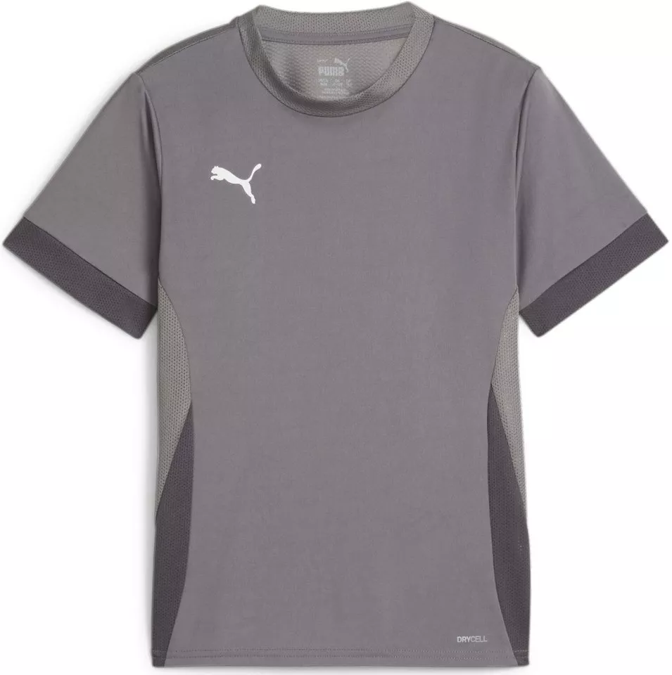 Camisa Puma teamGOAL Matchday Jersey jr