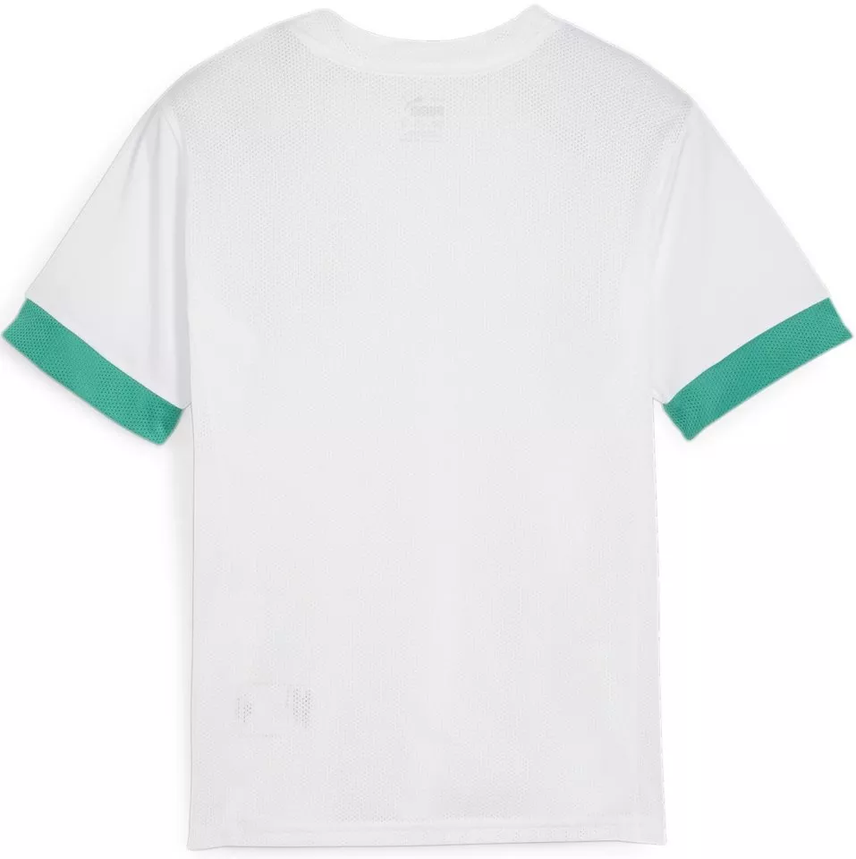 Camisa Puma teamGOAL Matchday Jersey jr