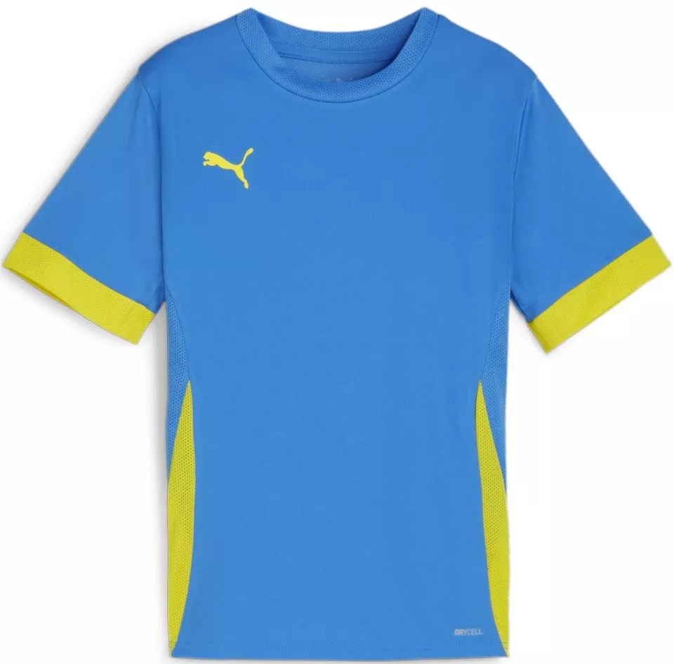 Tröja Puma teamGOAL Matchday Jersey jr