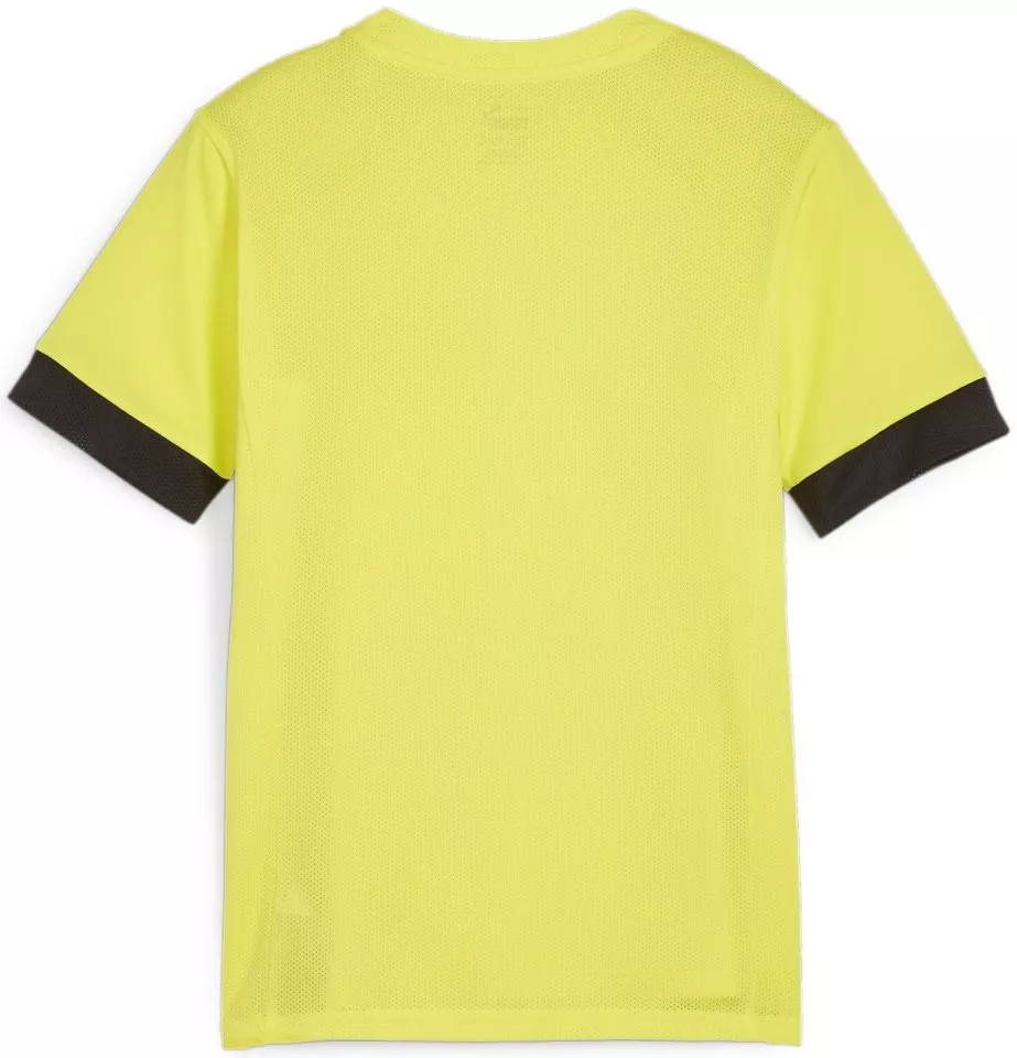 Puma teamGOAL Matchday Jersey jr Póló
