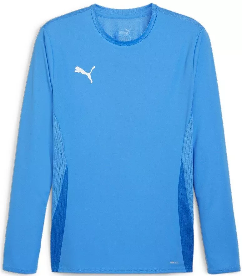 Puma teamGOAL Jersey LS M Hosszú ujjú póló