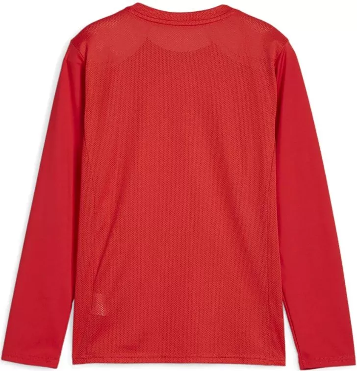 Dres s dlhým rukávom Puma teamGOAL LS Jersey Jr