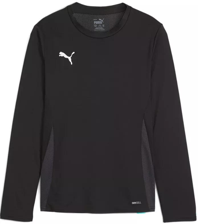 Langærmet trøje Puma teamGOAL LS Jersey Jr