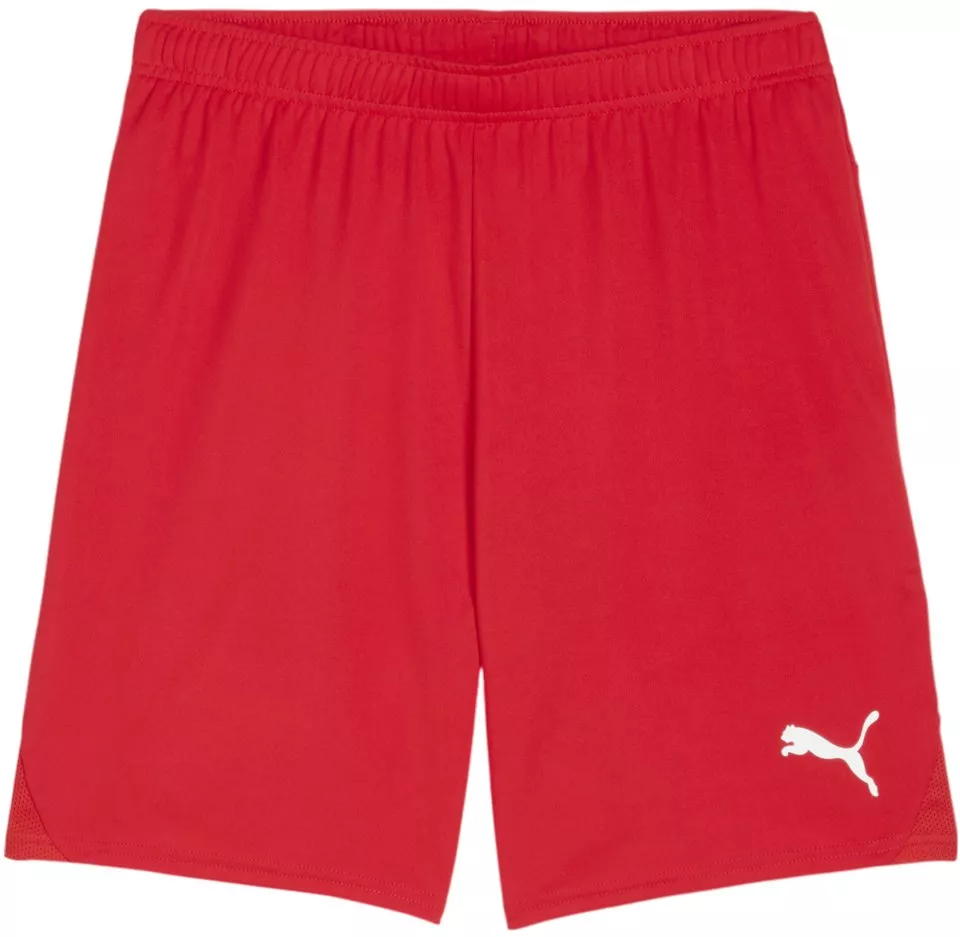 Puma teamGOAL Shorts