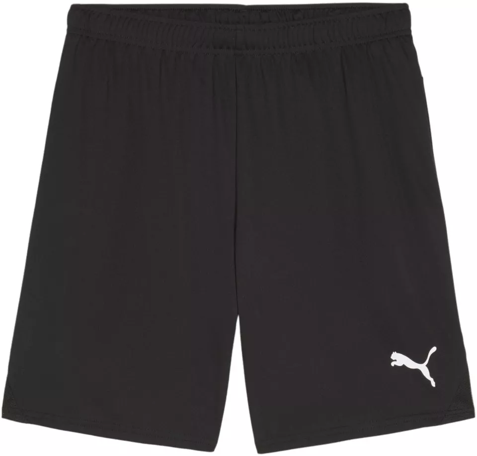 Calções Puma teamGOAL Shorts
