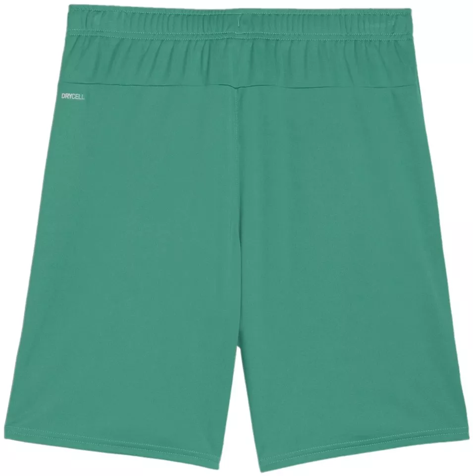 Puma teamGOAL Shorts Rövidnadrág