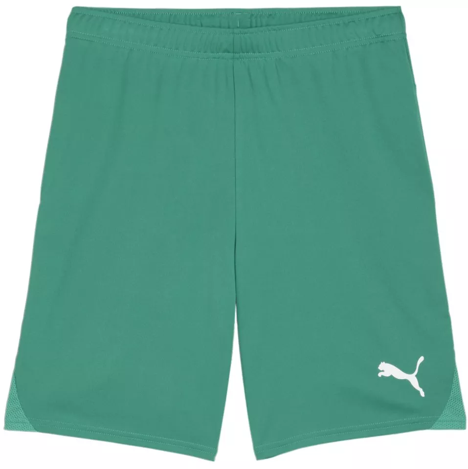 Puma teamGOAL Shorts Rövidnadrág