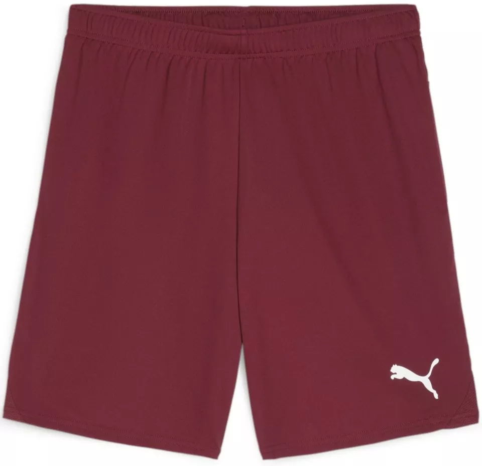 Puma teamGOAL Shorts Rövidnadrág