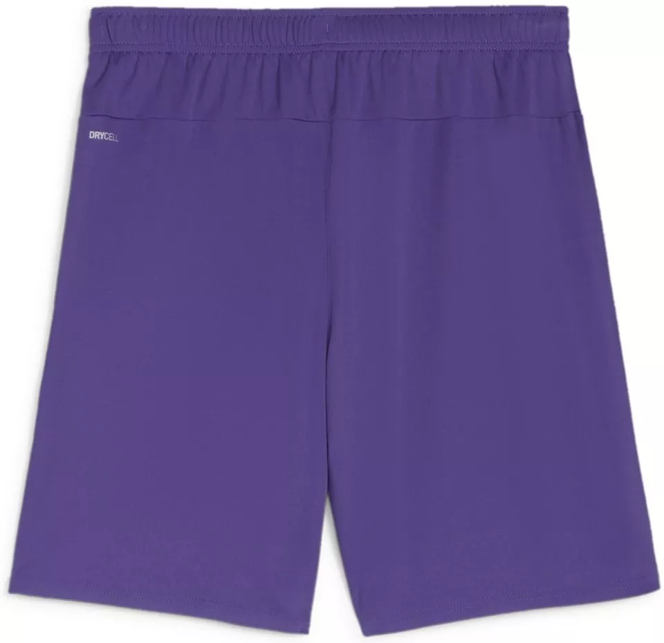 Puma teamGOAL Shorts