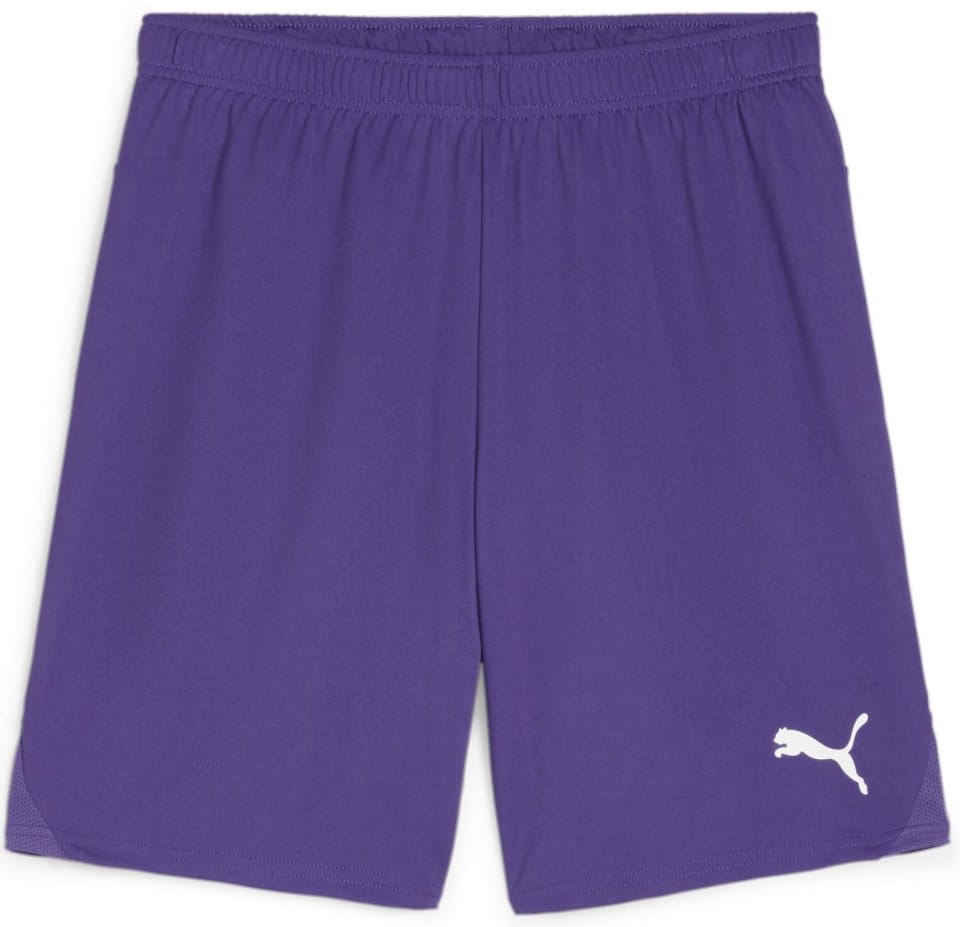 Puma teamGOAL Shorts