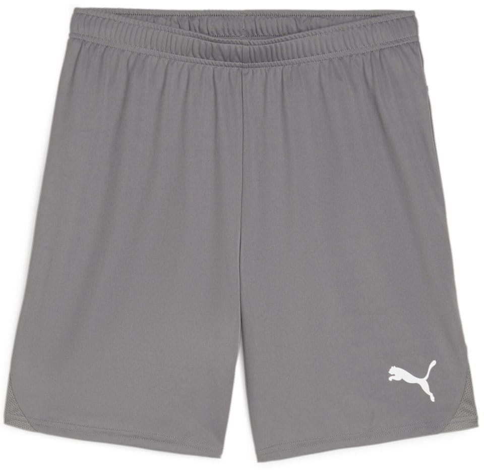 Pantalón corto Puma teamGOAL Shorts