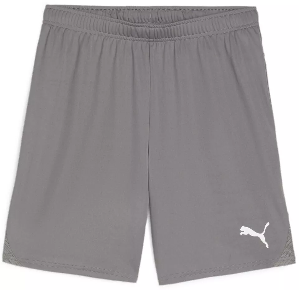 Pantalón corto Puma teamGOAL Shorts