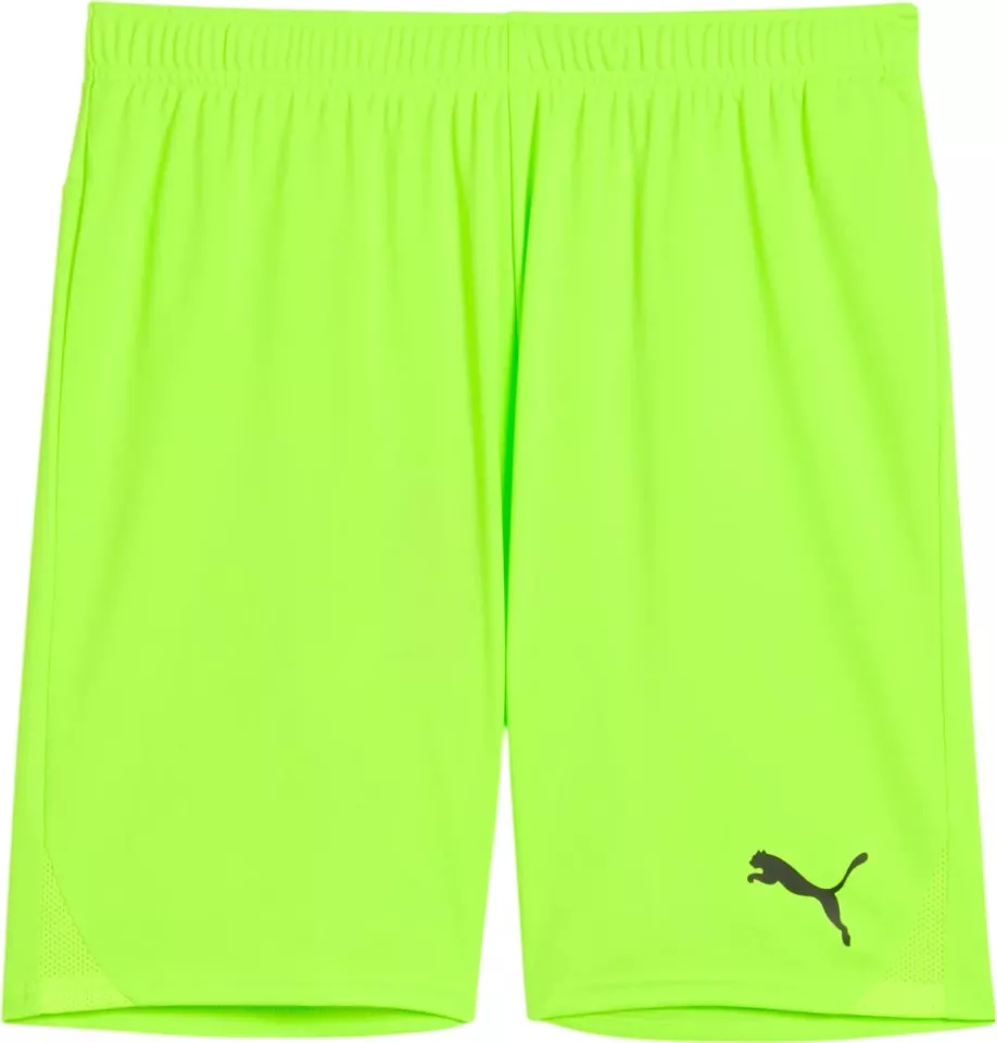 Sorturi Puma teamGOAL Shorts