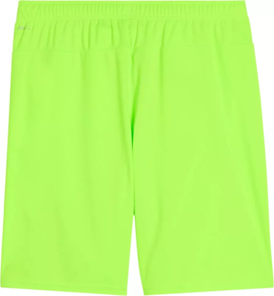 Sorturi Puma teamGOAL Shorts
