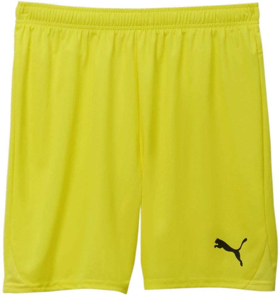 Puma teamGOAL Shorts Rövidnadrág
