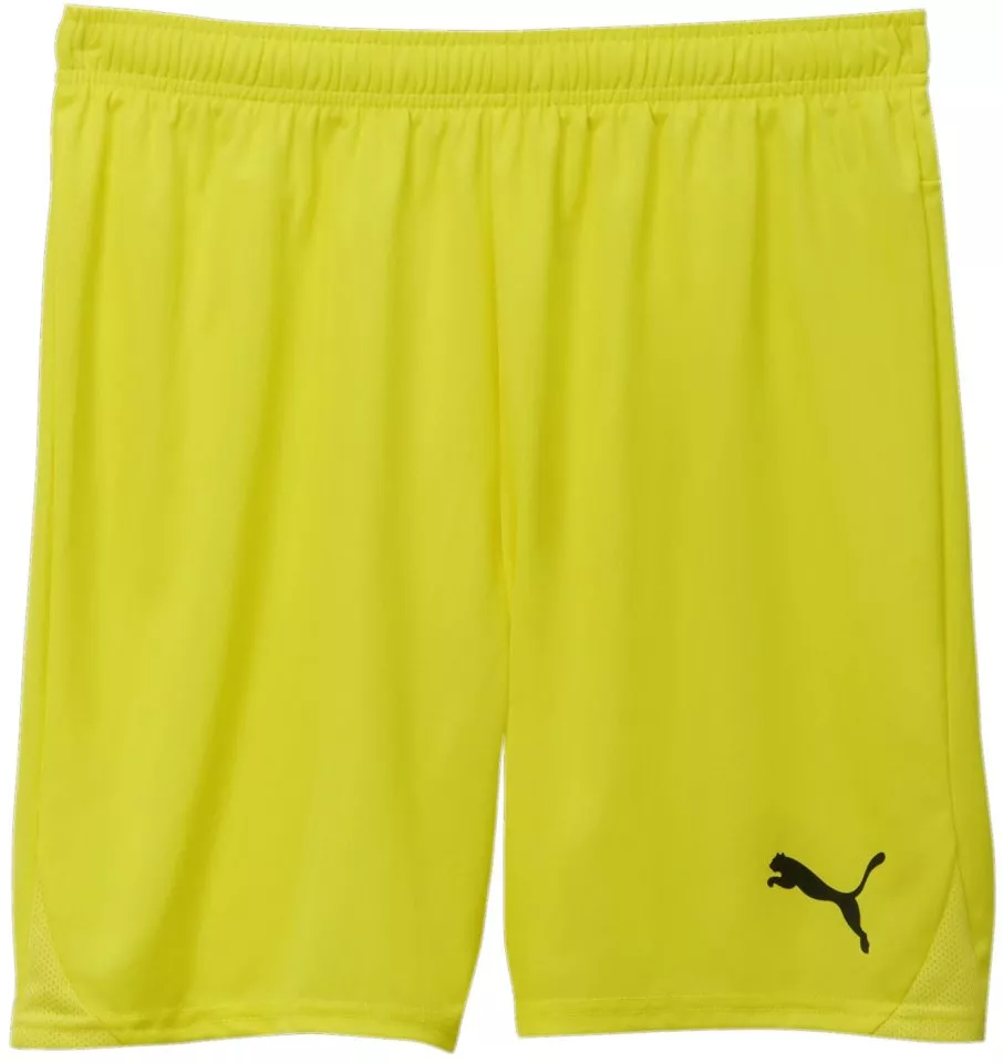 Puma teamGOAL Shorts Rövidnadrág