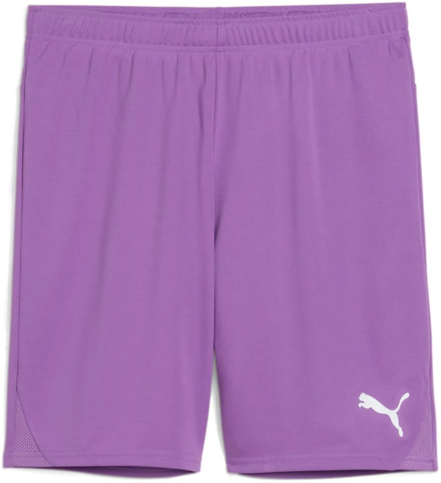 Puma teamGOAL Shorts Rövidnadrág