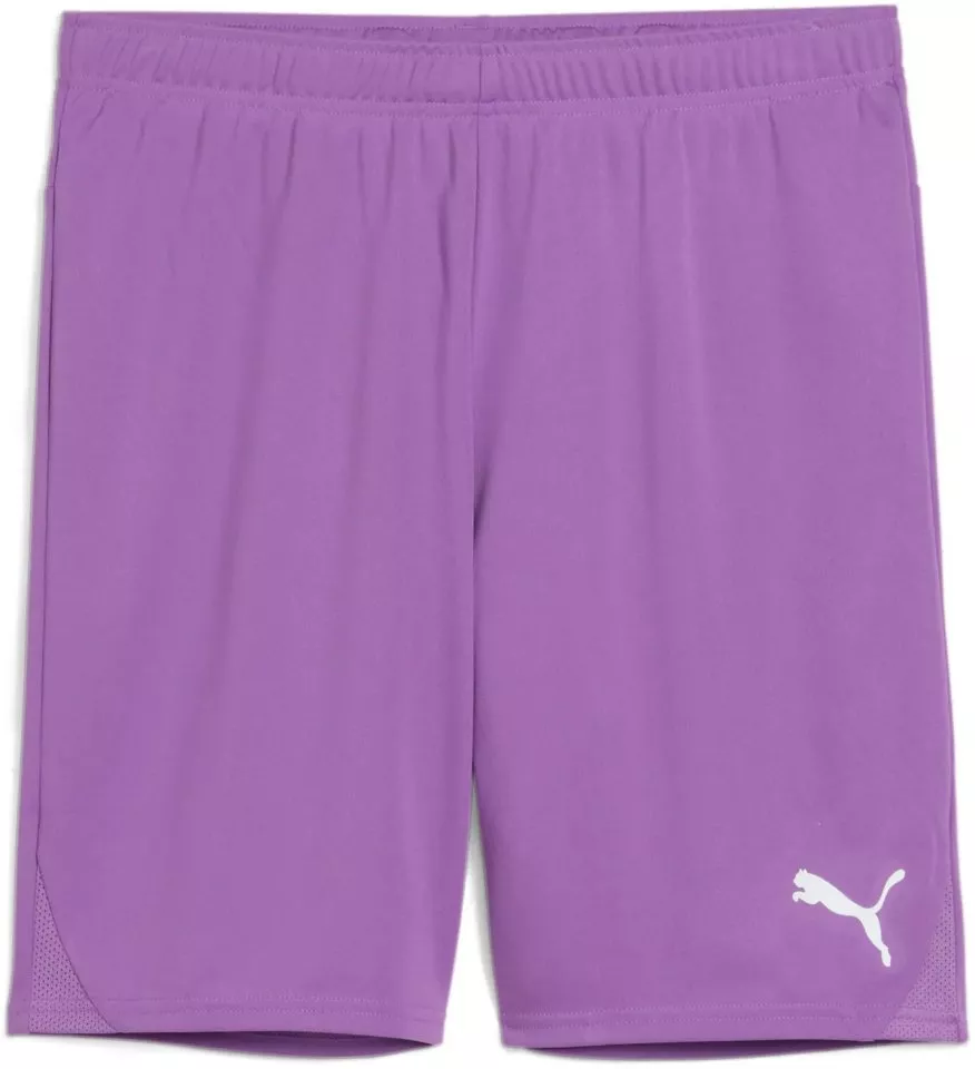 Puma teamGOAL Shorts Rövidnadrág