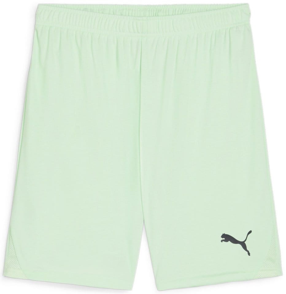 Kratke hlače Puma teamGOAL Shorts