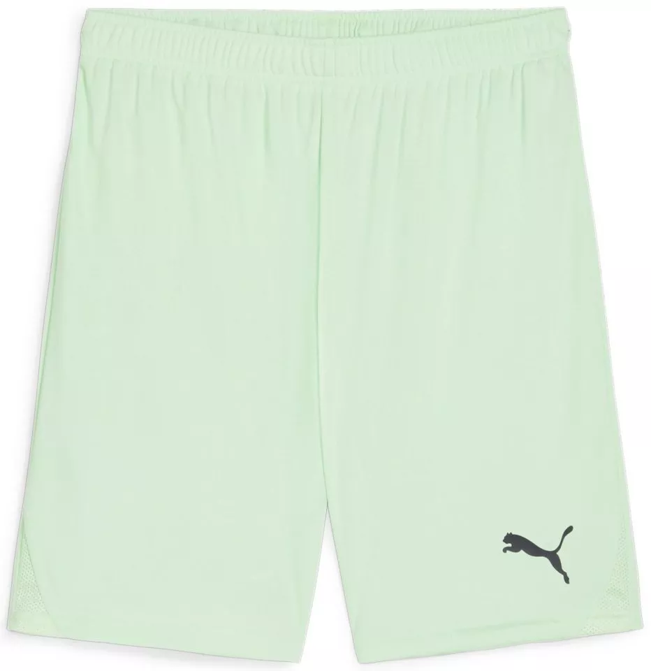 Kratke hlače Puma teamGOAL Shorts