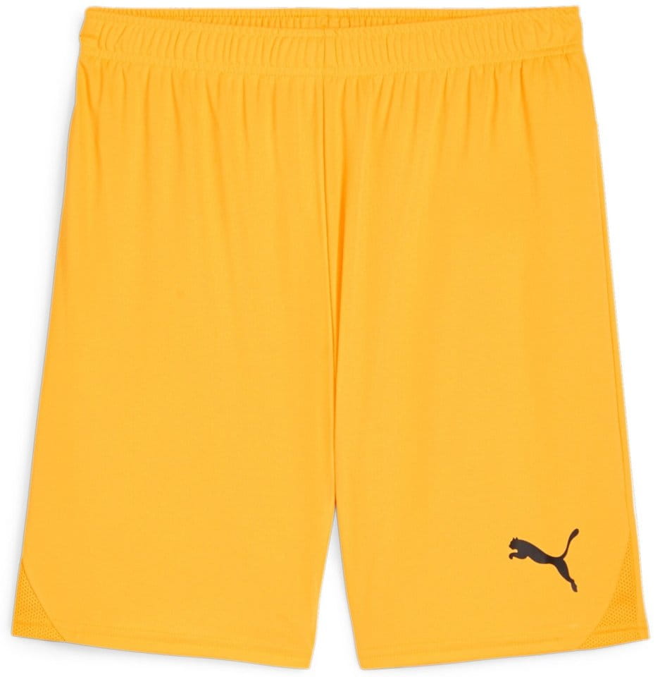 Sorturi Puma teamGOAL Shorts