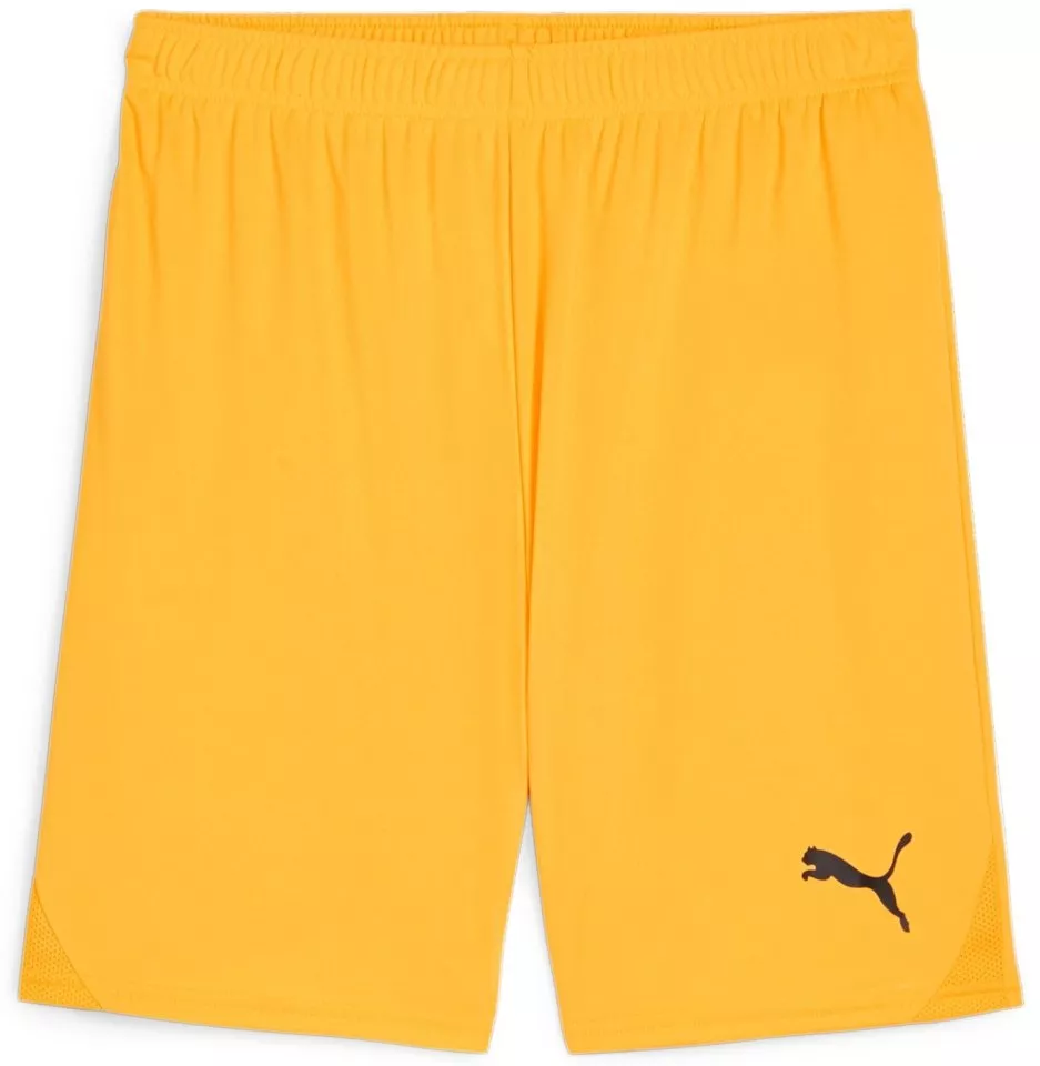 Sorturi Puma teamGOAL Shorts
