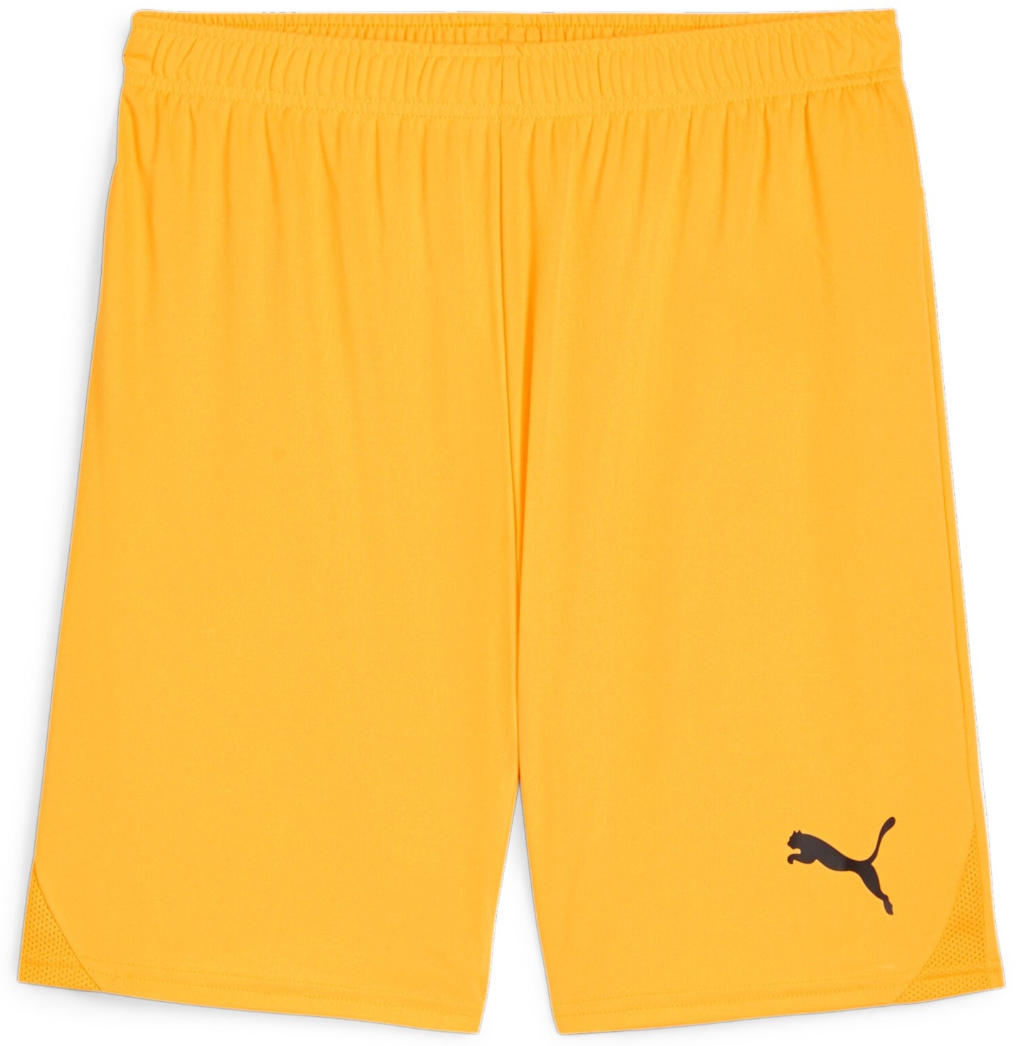 teamGOAL Shorts