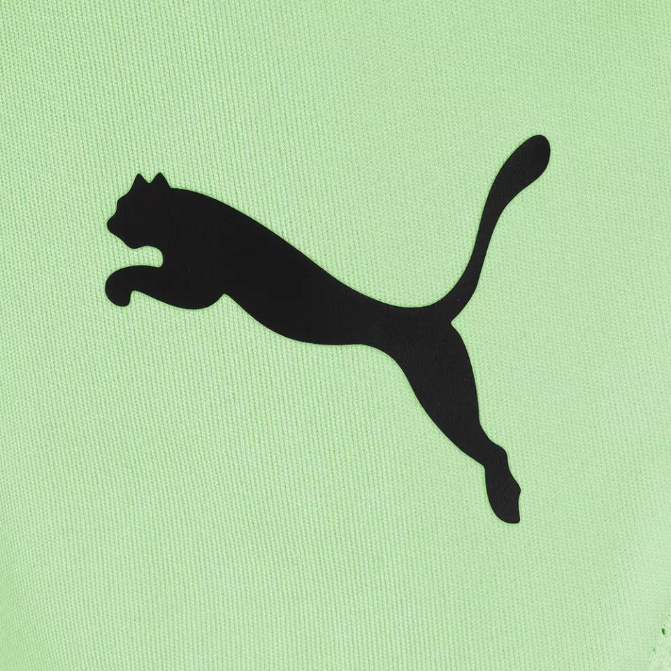 Calções Puma Füchse Berlin Short 2024/2025