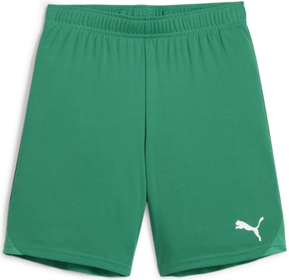 Calções Puma teamGOAL Shorts Jr
