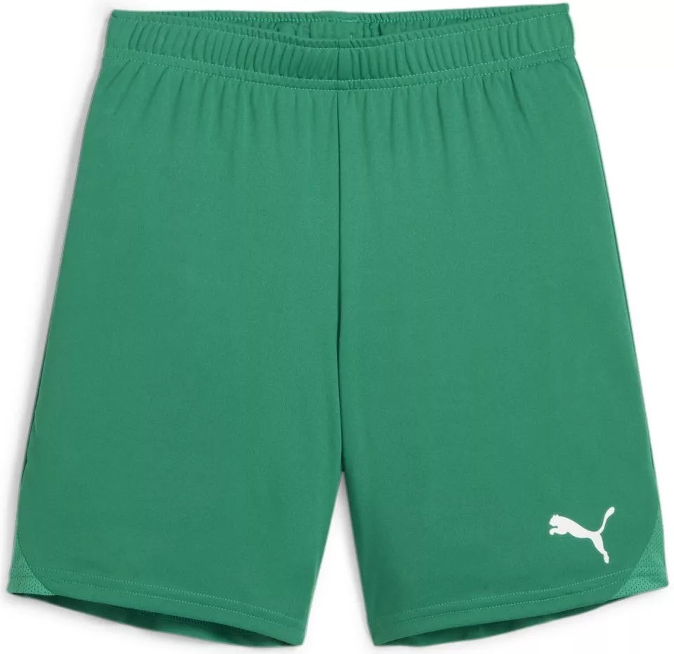 Calções Puma teamGOAL Shorts Jr