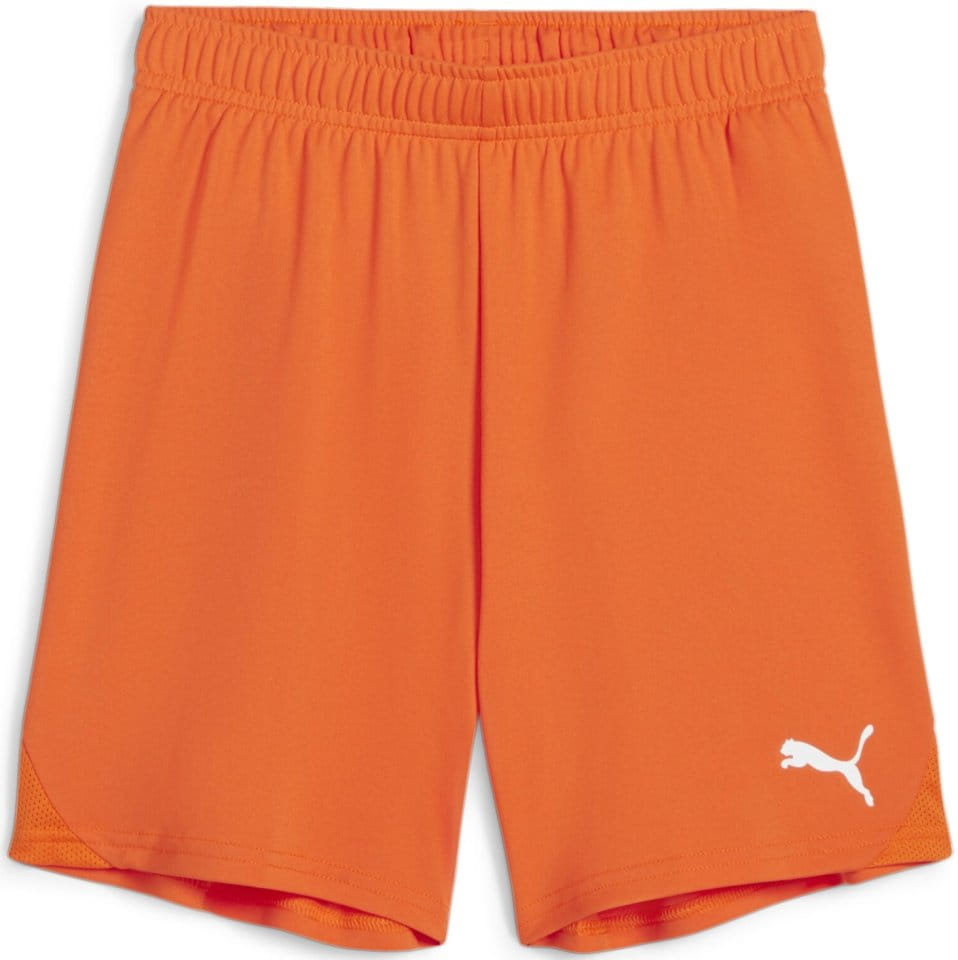 Puma teamGOAL Shorts Jr Rövidnadrág