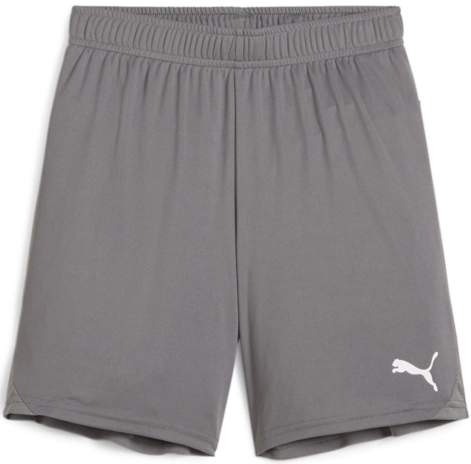 Sorturi Puma teamGOAL Shorts Jr