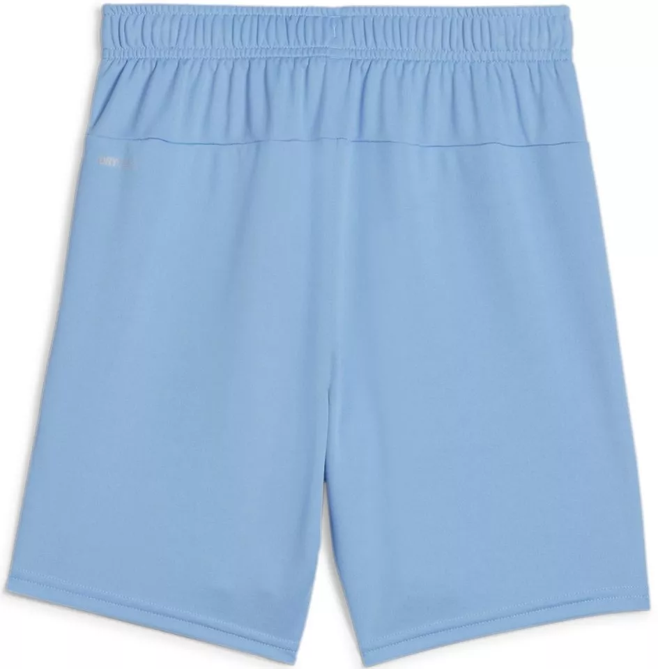 Calções Puma teamGOAL Shorts Jr