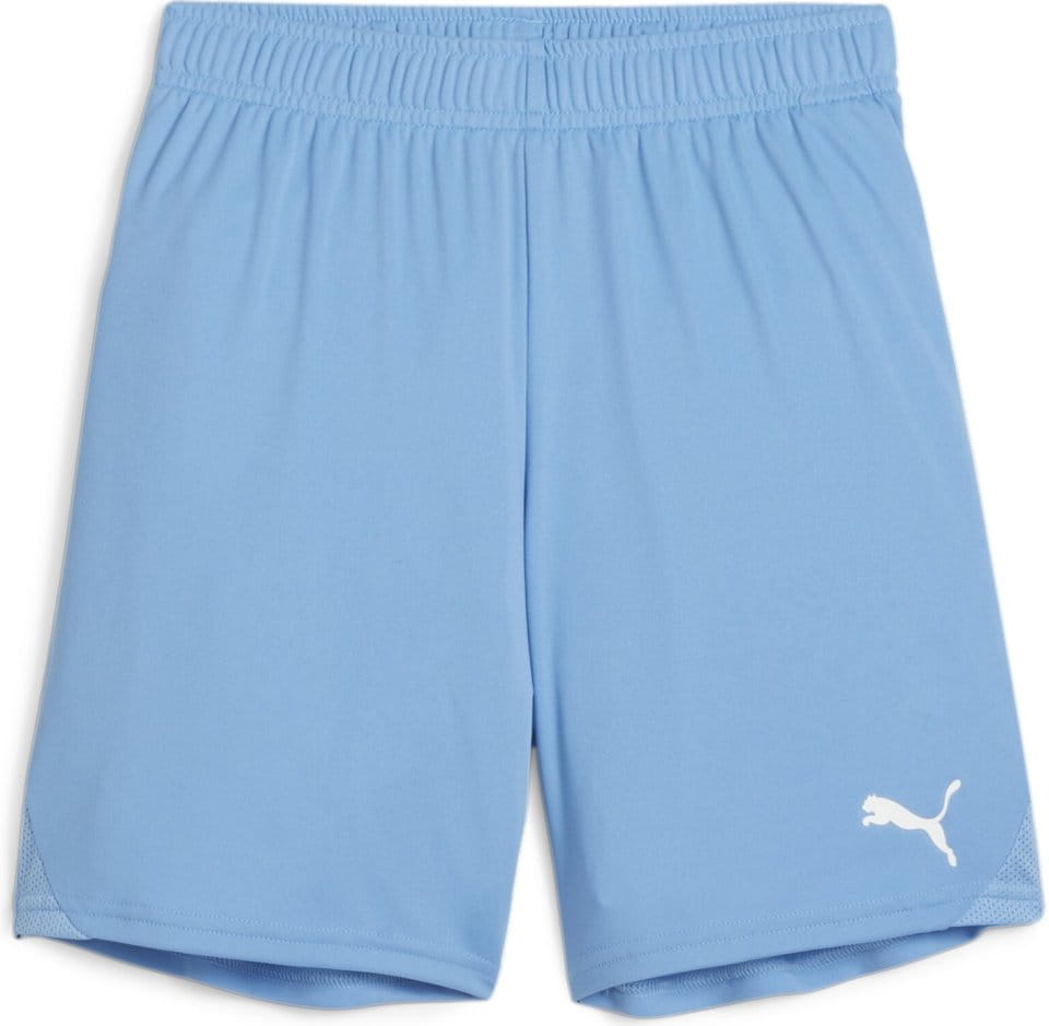 Calções Puma teamGOAL Shorts Jr