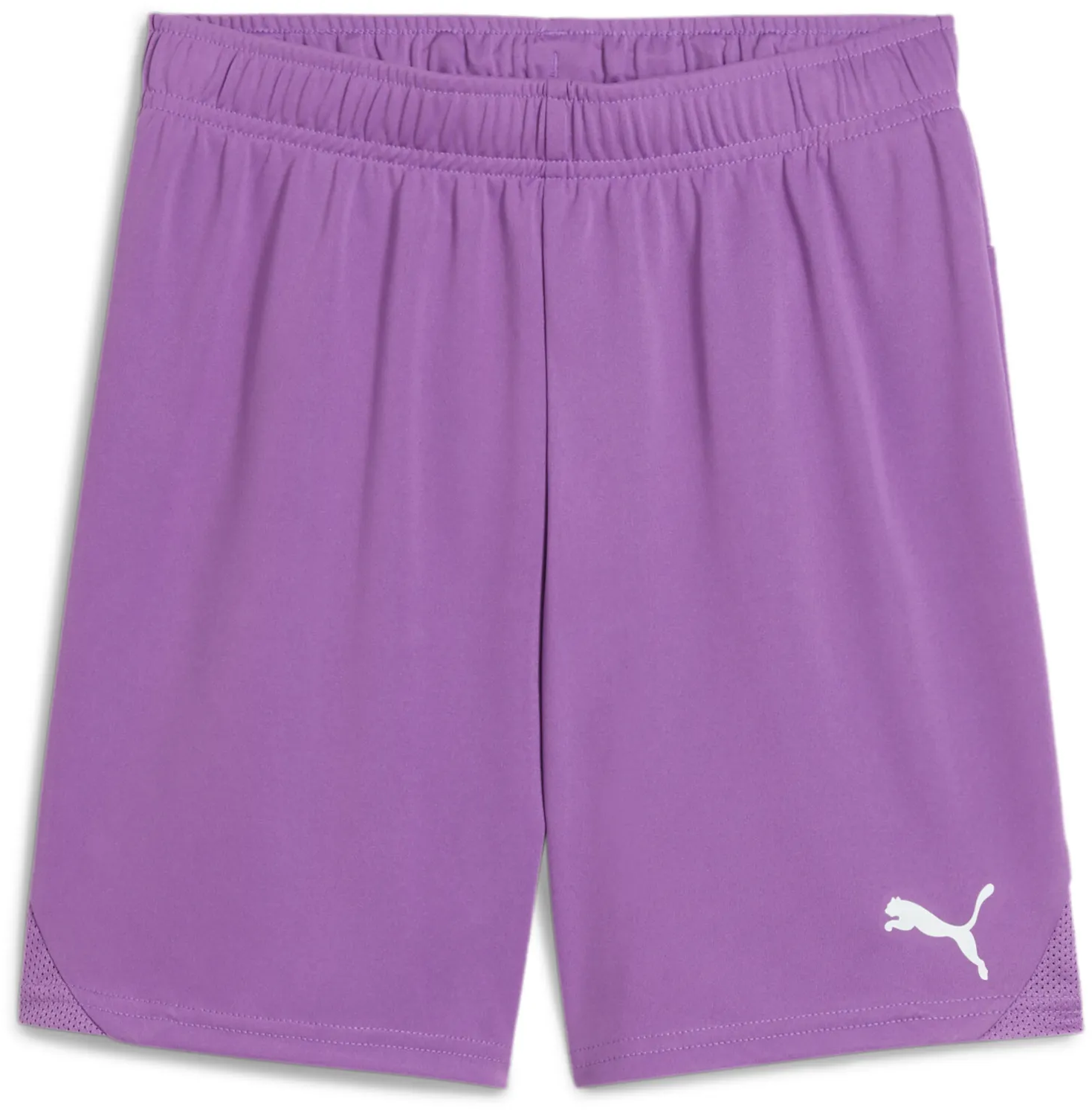 Σορτς Puma teamGOAL Shorts Jr