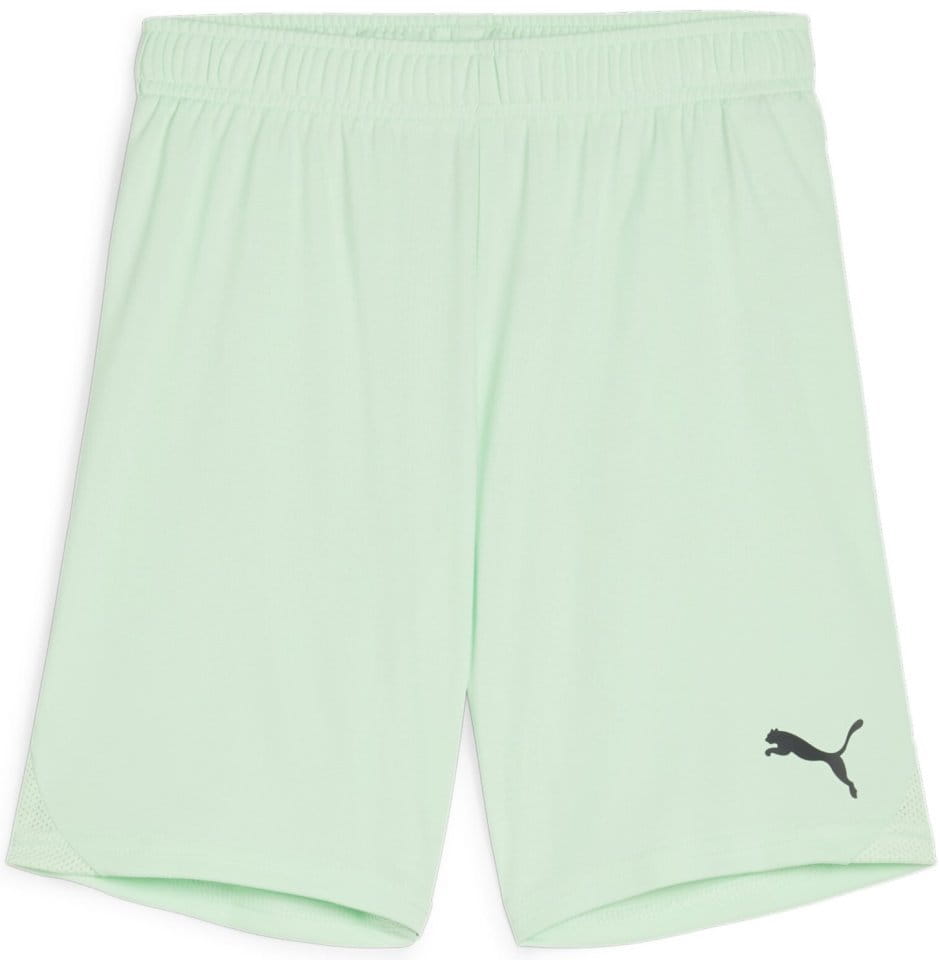 Calções Puma teamGOAL Shorts Jr