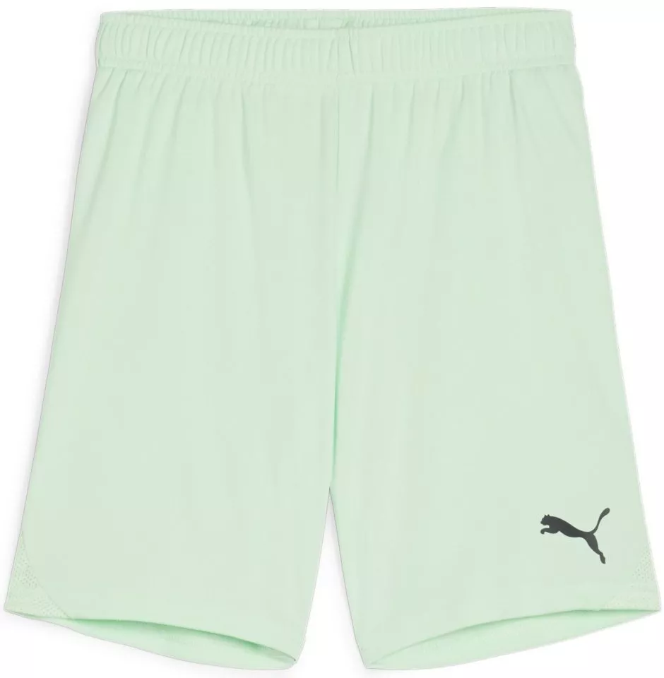Calções Puma teamGOAL Shorts Jr