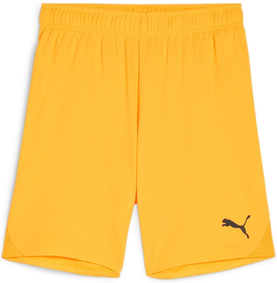 Puma teamGOAL Shorts Jr Rövidnadrág