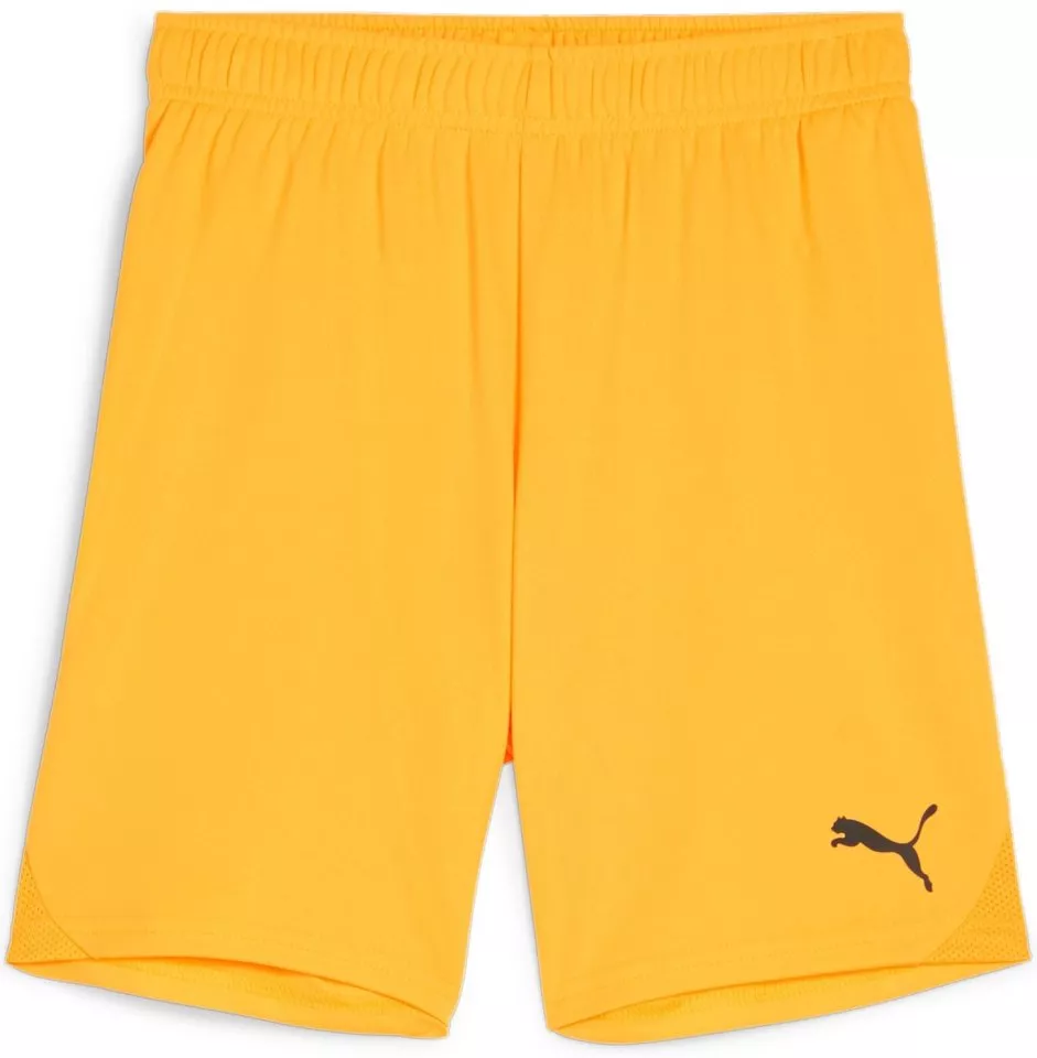 Puma teamGOAL Shorts Jr Rövidnadrág