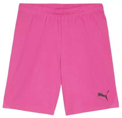 Sorturi Puma teamGOAL Short W