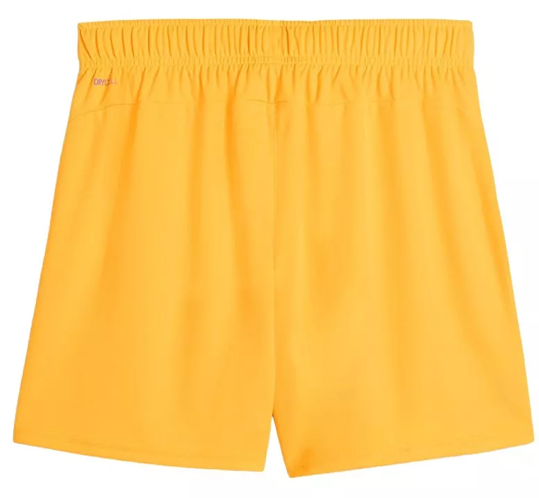 Puma teamGOAL Shorts Wmns