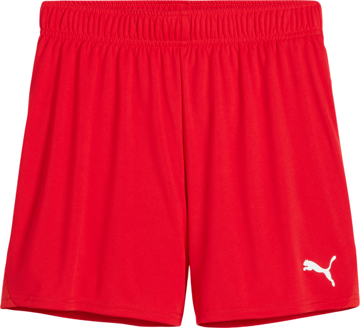 Pantalón corto Puma teamGOAL Handball Shorts W