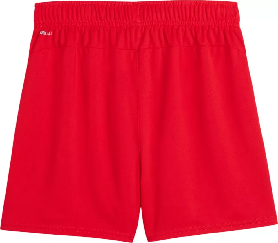 Pantalón corto Puma teamGOAL Handball Shorts W