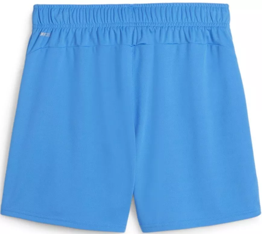 Pantalón corto Puma teamGOAL Handball Shorts W